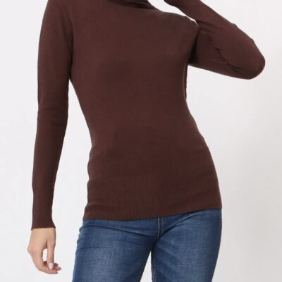 Pull col roulé 26322