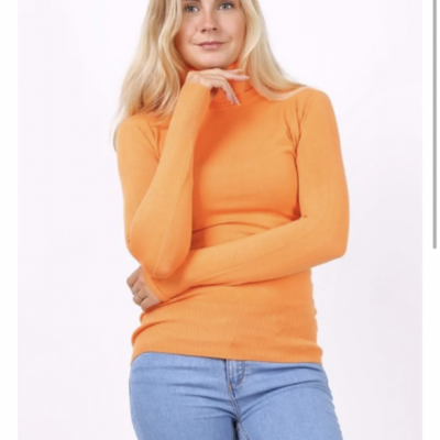 Pull col roulé 26322