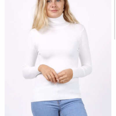 Pull col roulé 26322