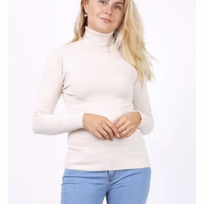 Pull col roulé 26322