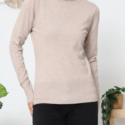 Pull col roulé 26322