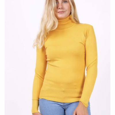 Pull col roulé 26322